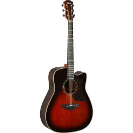 A3R ARE Acoustic-Electric Guitar