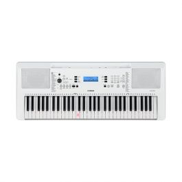 EZ-300AD Beginner's Keyboard with Lighted Keys