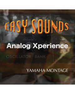 Analog Xperience - MONTAGE
