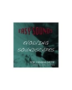 Evolving Soundscapes