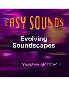 Evolving Soundscapes for MONTAGE