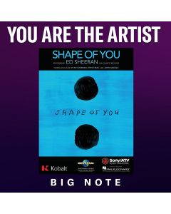 Shape of You (You Are The Artist version)