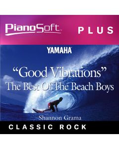 'Good Vibrations' The Best Of The Beach Boys