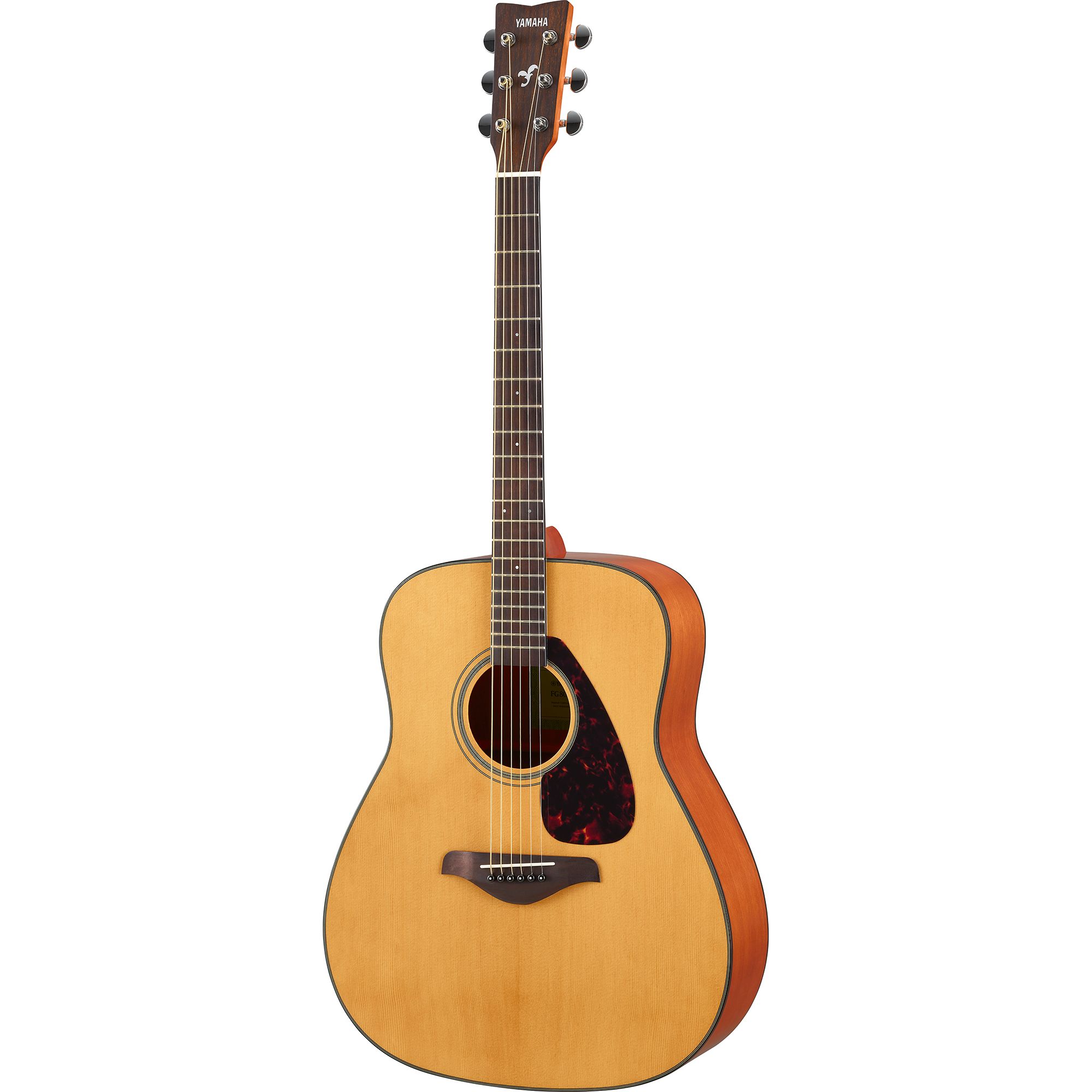 FG800J Acoustic Guitar