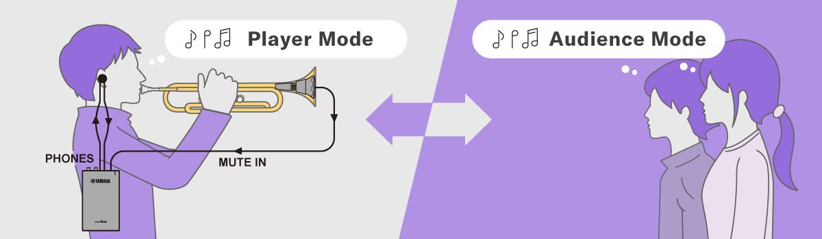 Diagram of player mode and audience mode.